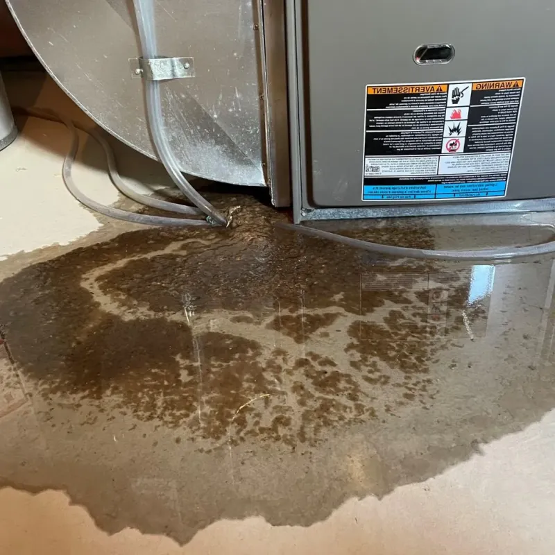 Pipe Burst and Leak Restoration in Hallowell, ME