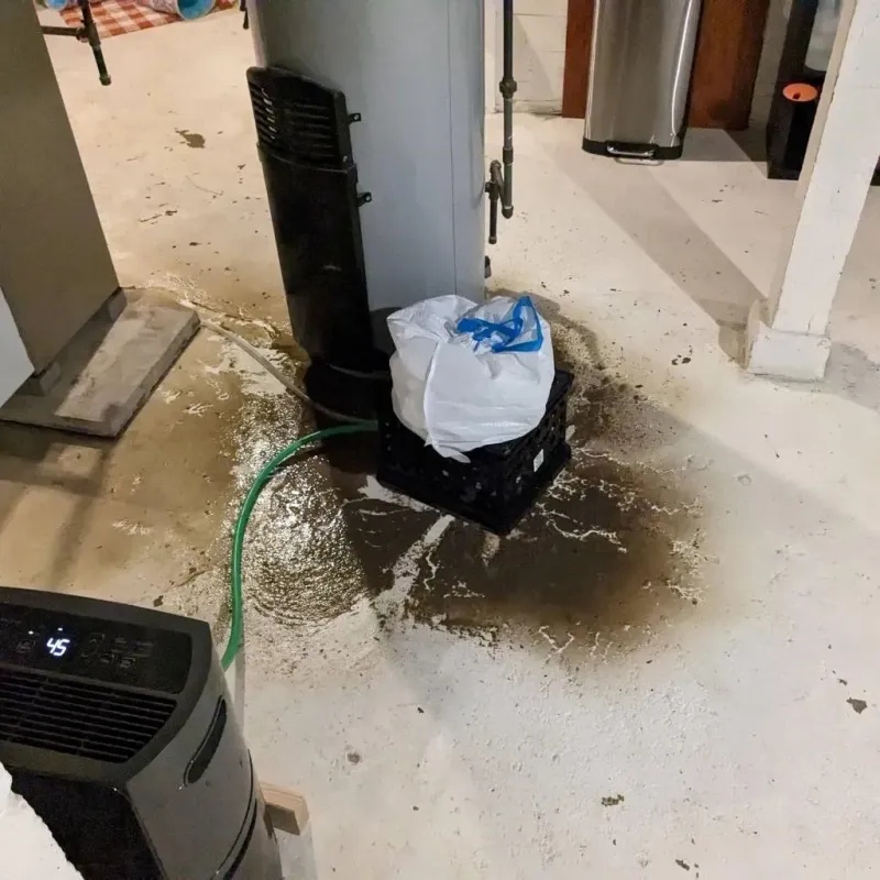 Sewage Backup Cleanup Service in Hallowell, ME